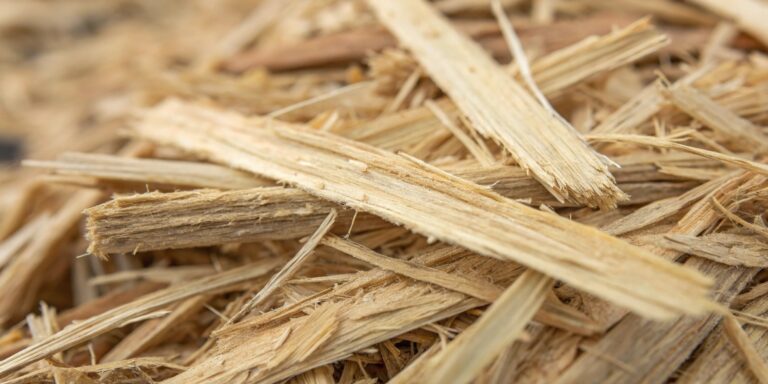 Close-up of sugarcane bagasse used as biomass feedstock in sustainable material production